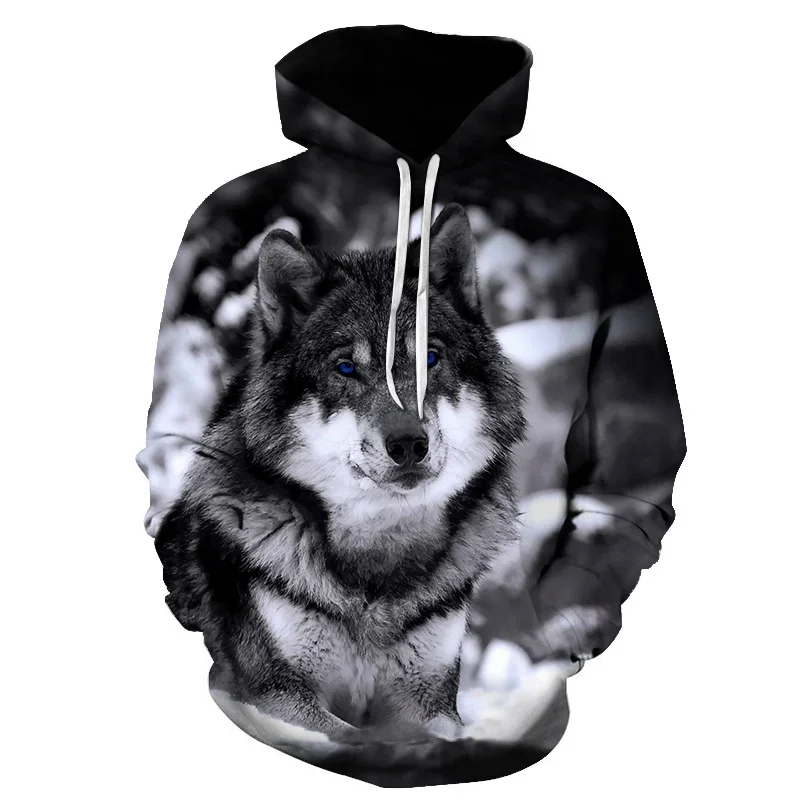 2026 ฟ็อกซ์ แอนด์ วูล์ฟเสื้อฮู - Streetwear Brand Korea บทวิจารณ์และราคา